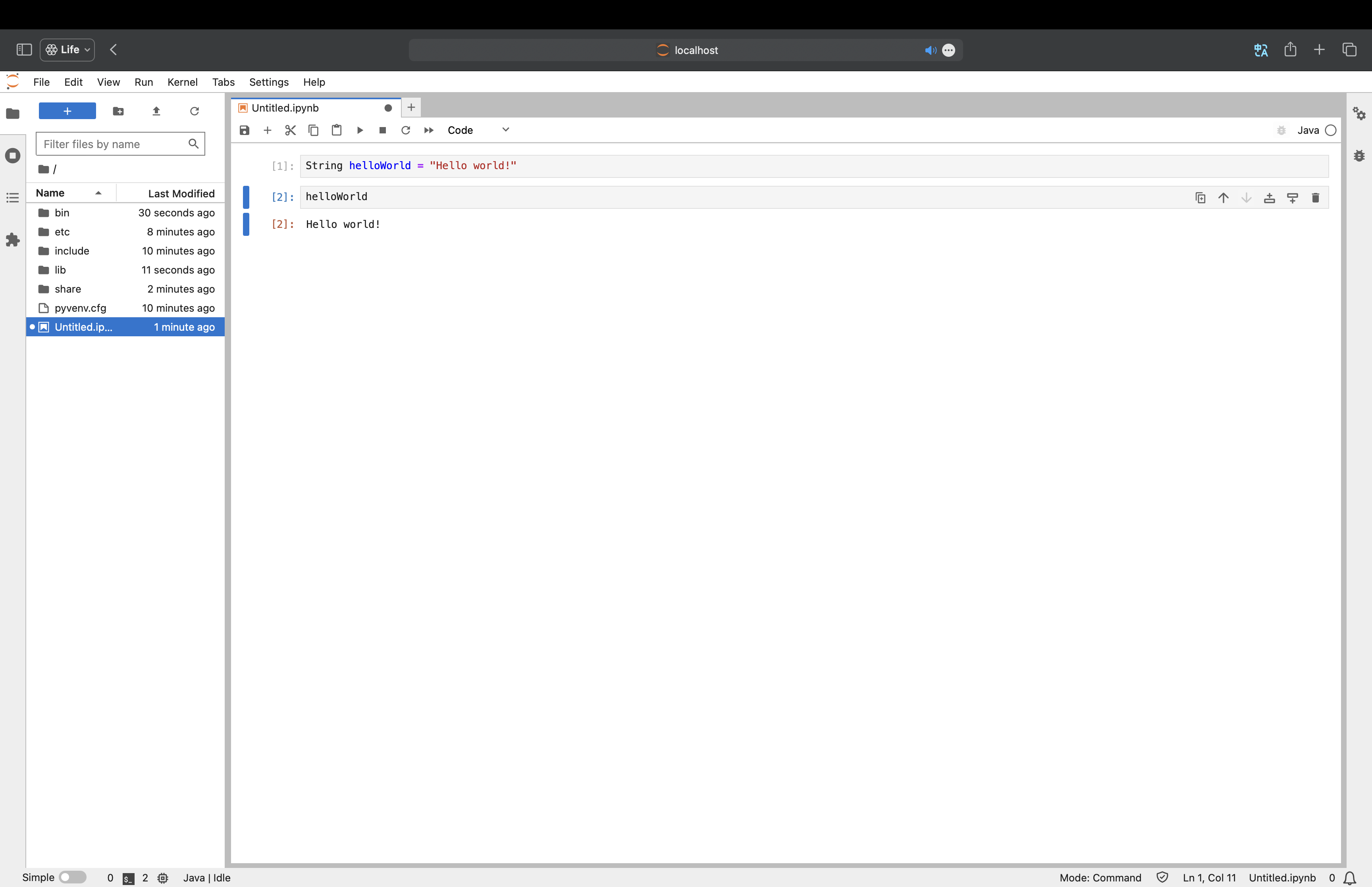 Jupyterlab notebook run hello world