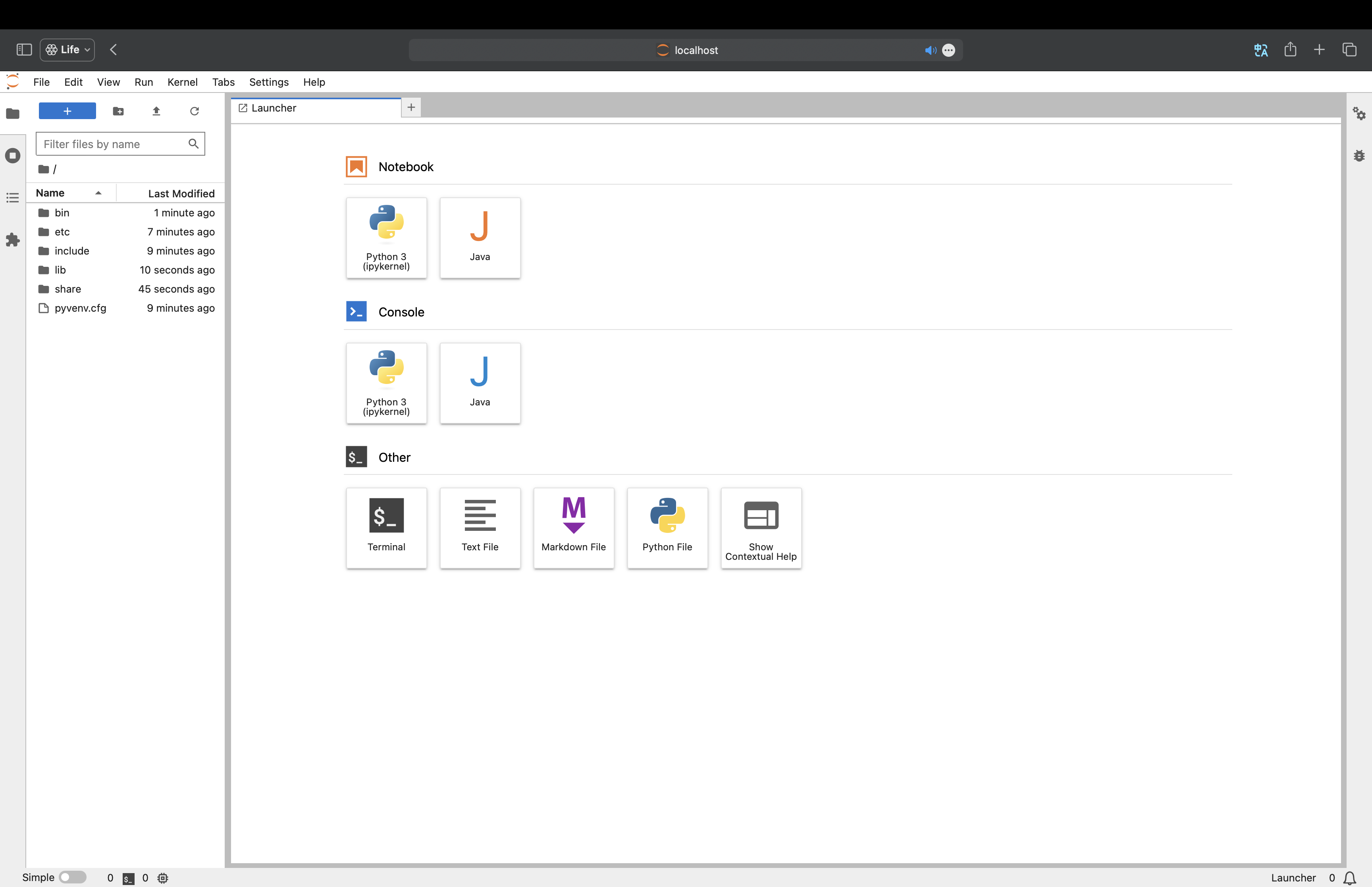 Jupyterlab notebook